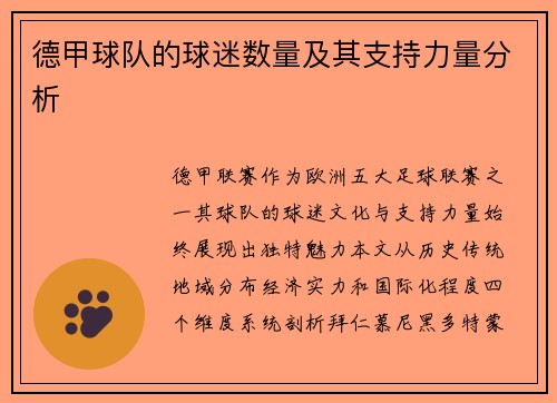 德甲球队的球迷数量及其支持力量分析